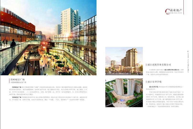 上海阜興實業(yè)集團畫冊設(shè)計圖片